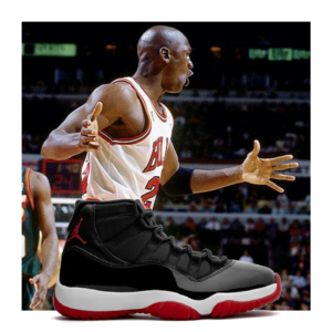 Air Jordan 11
