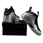 Nike Air Foamposite One Metallic Pewter