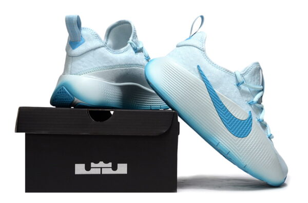 Nike LeBron TR 1-купить-в-time2win.ru